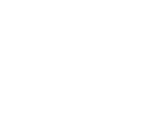 Estate Haus | Dallas Field Notes